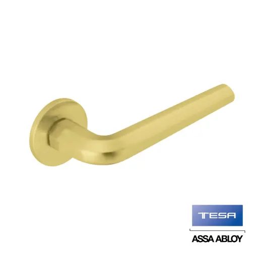 [MIC5R800LP] TESA Iceberg Handle Set LP